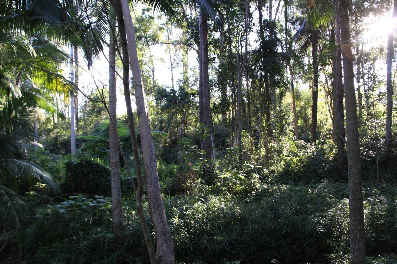 Paperbark Bed & Breakfast Brisbane Exterior foto